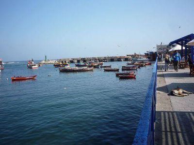 Antofagasta invit� a rueda de negocios agroalimentarios