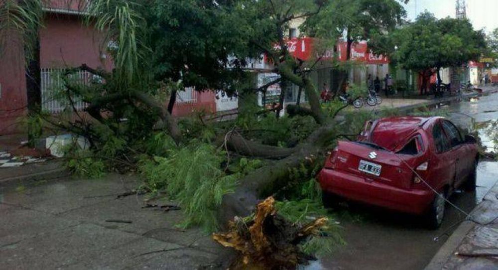 Tormenta con fuertes vientos provoc� destrozos en Resistencia