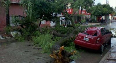 Tormenta con fuertes vientos provoc� destrozos en Resistencia
