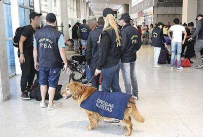 Siguen los controles: 10 detenidos por tenencia de marihuana