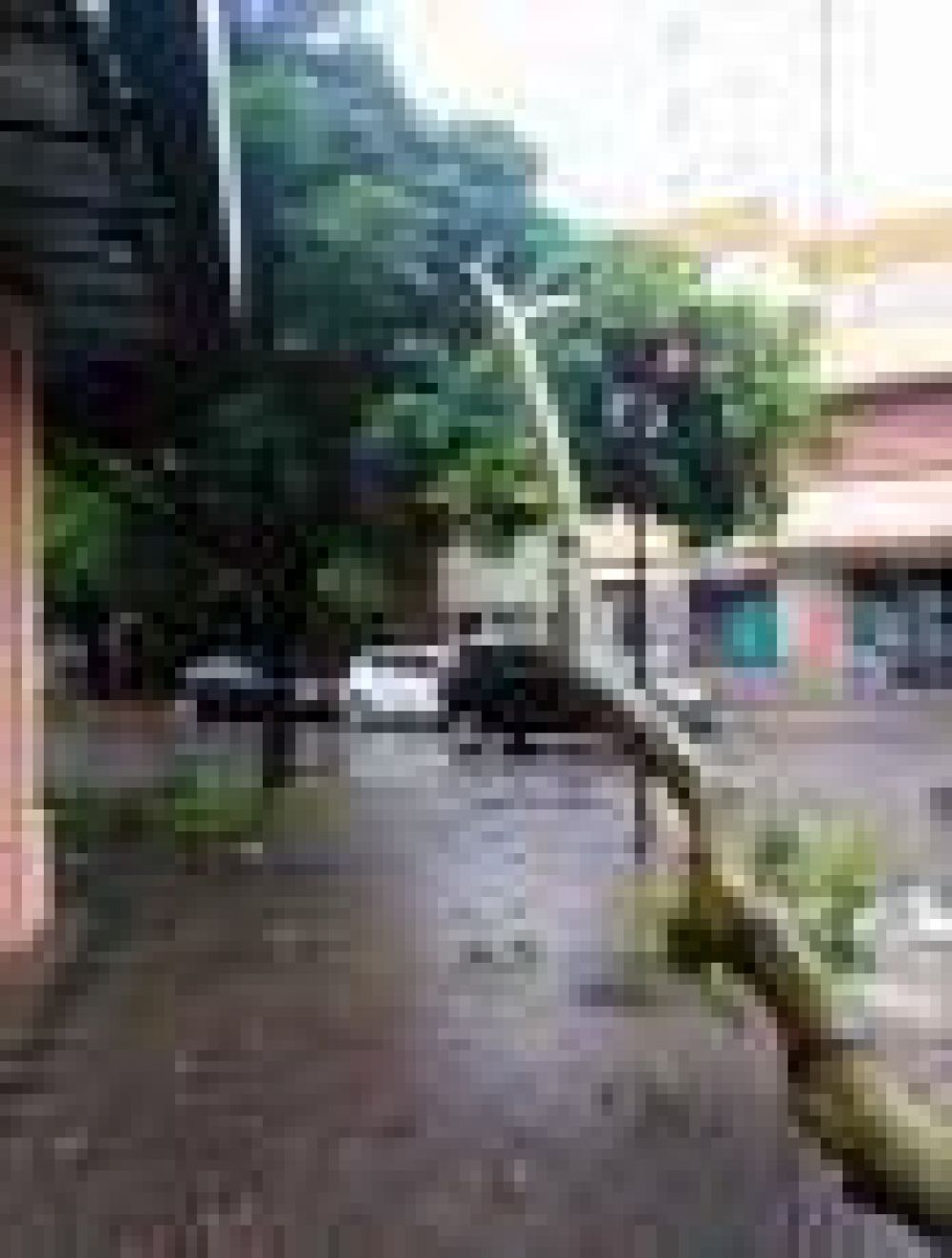 La Plata: Comuna lanza un 