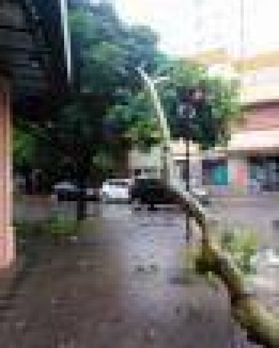 La Plata: Comuna lanza un 