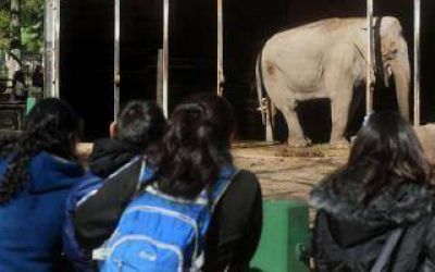 La Plata: Buscan convertir el Zoo en espacio de estudio y preservaci�n