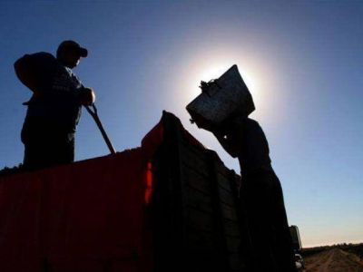 Obreros vitivin�colas se suman al reclamo de los productores del sector