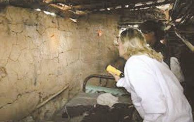 En s�lo el 5% de casas registradas, hallaron vinchucas
