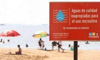 Balnearios de Posadas: Entre agua contaminada y palometas resulta peligroso darse un chapuz�n
