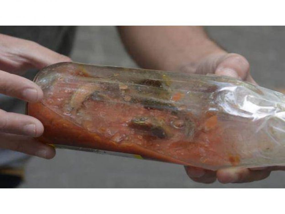 Prepararon una pizza, se la comieron, se descompusieron y descubrieron que en la salsa hab�a una v�bora