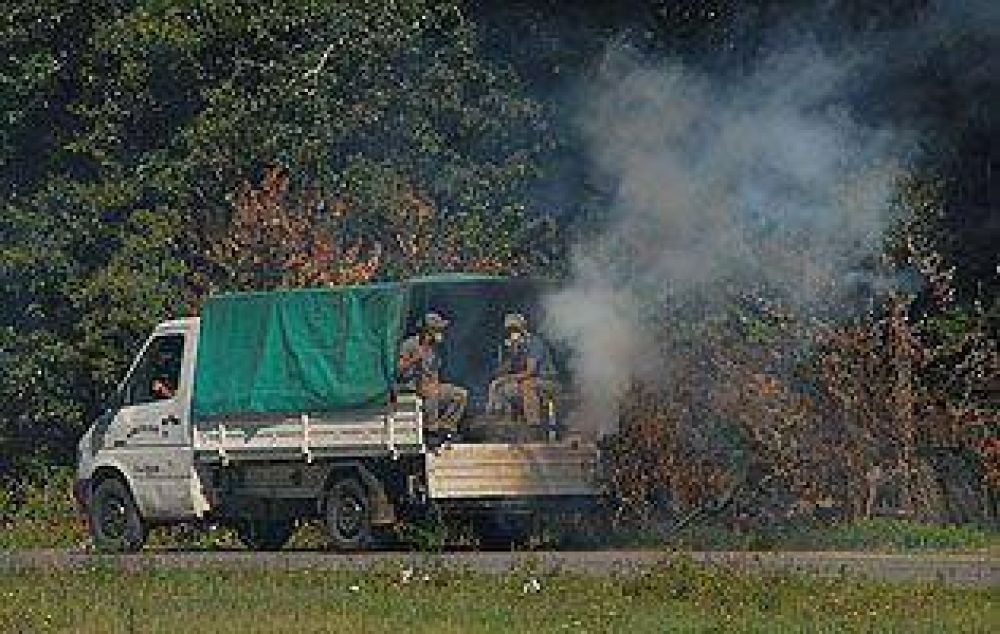 Siguen las acciones de lucha contra el dengue