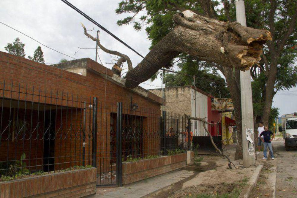 El viento provoc� graves da�os en sectores de Valle Viejo y Capital