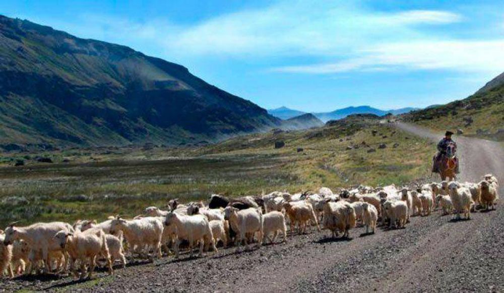 Crece con mucho auge el turismo aborigen, mostrando costumbres, comidas y servicios