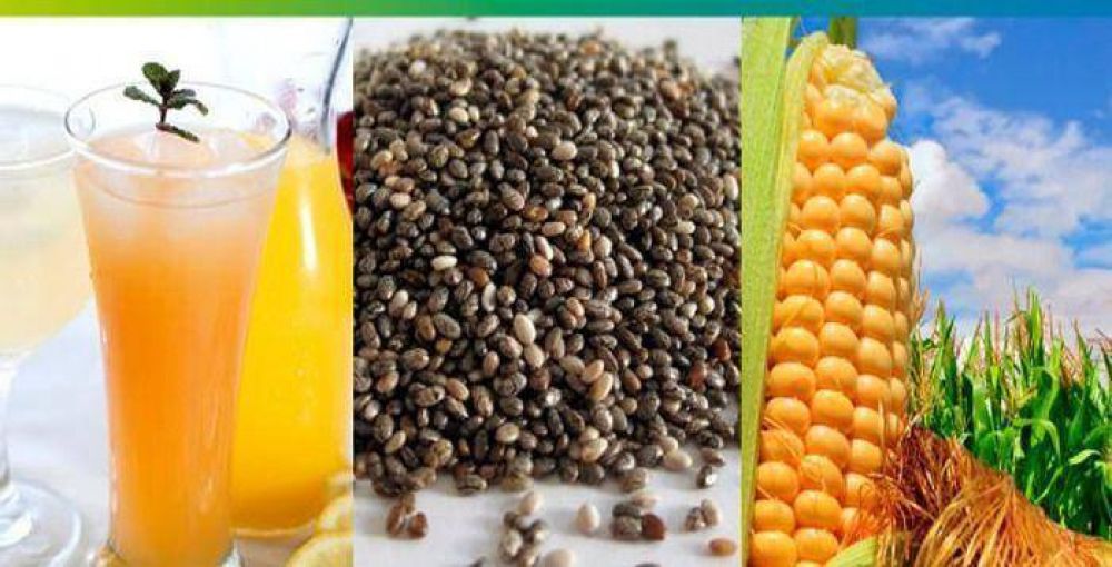 Impulsan un cat�logo de productores y exportadores de granos y bebidas