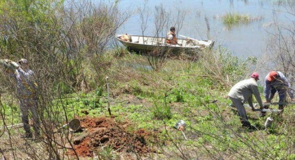 Una controvertida disposici�n judicial