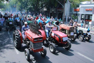Productores vitivin�colas llegaron a la Casa de Gobierno