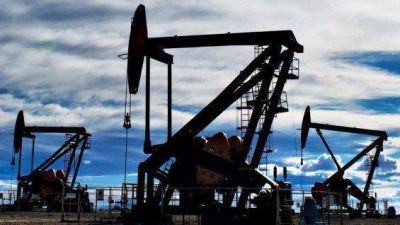 Mendoza analiza resignar regal�as por inversiones