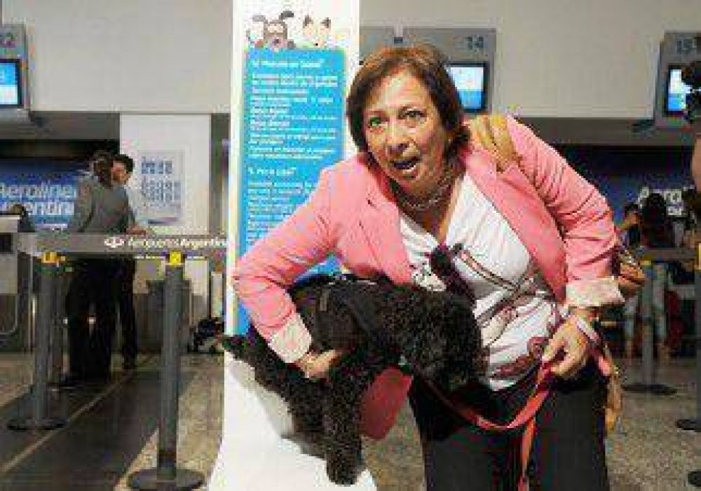 Bubu, el primer perro que vol� junto a su due�a 