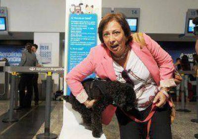 Bubu, el primer perro que vol� junto a su due�a 