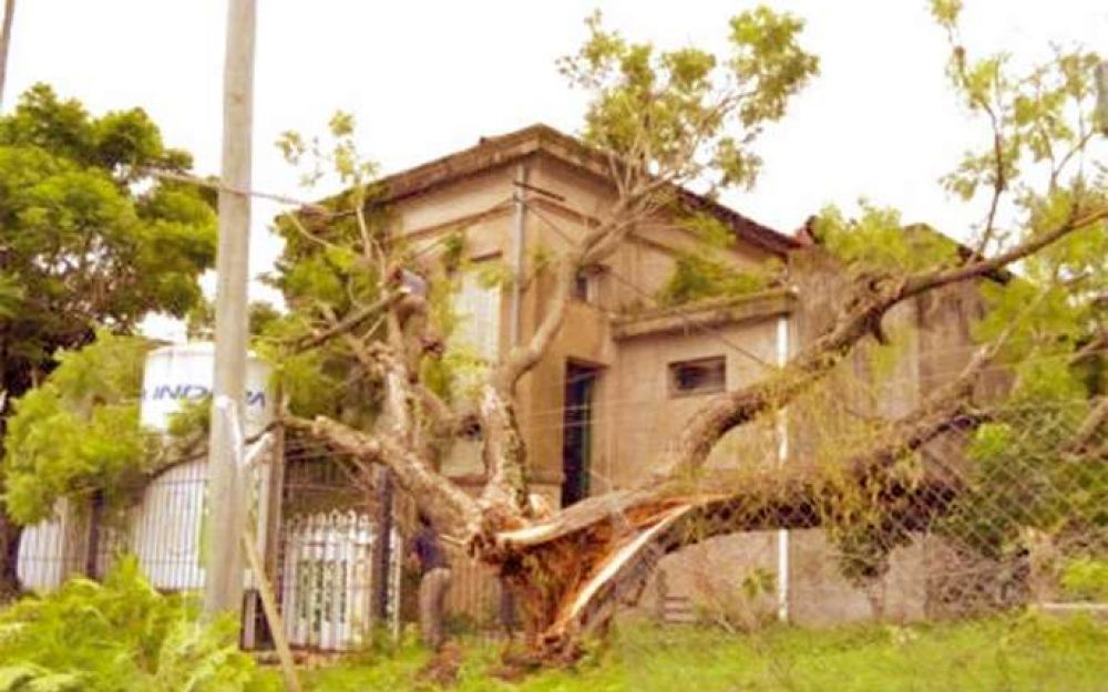 Operarios prosiguen con las tareas de limpieza tras la tormenta