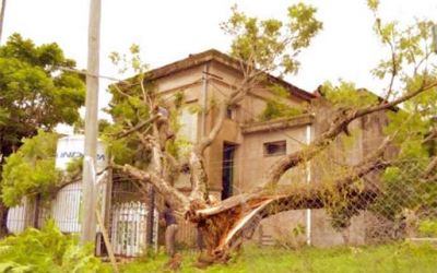 Operarios prosiguen con las tareas de limpieza tras la tormenta