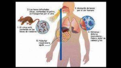 El Hantavirus se habr�a cobrado una nueva vida