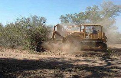 Naci�n se despega de la deforestaci�n en Salta