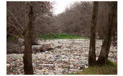 Ambientalistas rechazan limpieza del R�o Luj�n