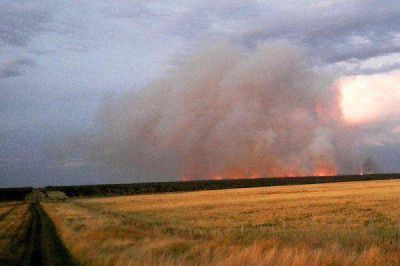 Nuevos cuatro incendios en la provincia
