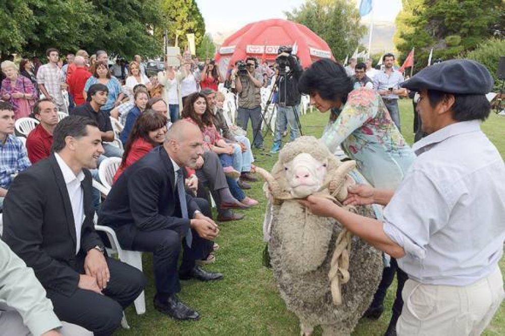 Destinar�n 15 millones de pesos para el empleo y la recuperaci�n del sector ovino