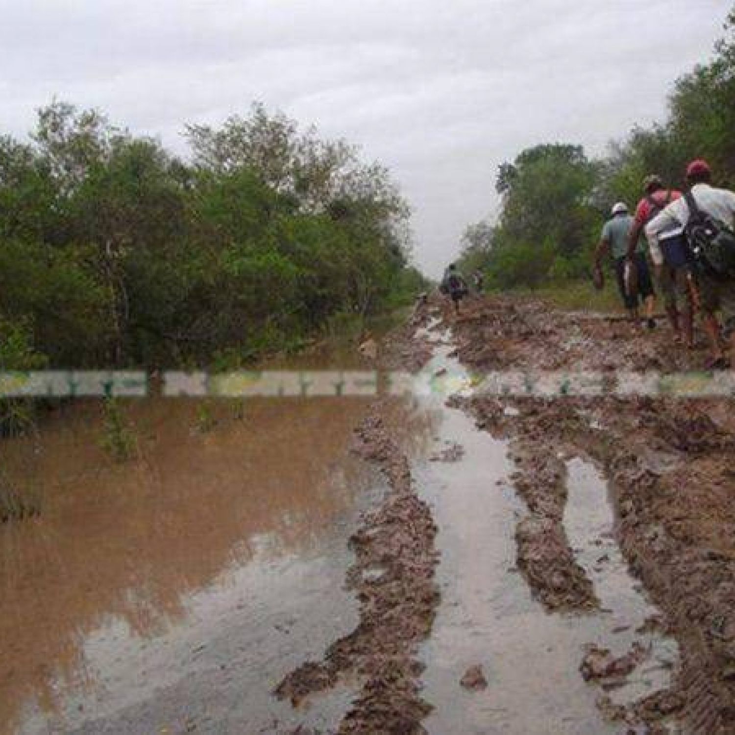 Por Las Grandes Lluvias Los Caminos Están Intransitables En El Impenetrable 2150