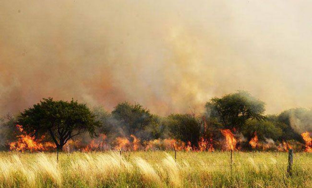 Siete nuevos incendios en la provincia