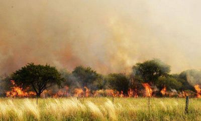 Siete nuevos incendios en la provincia