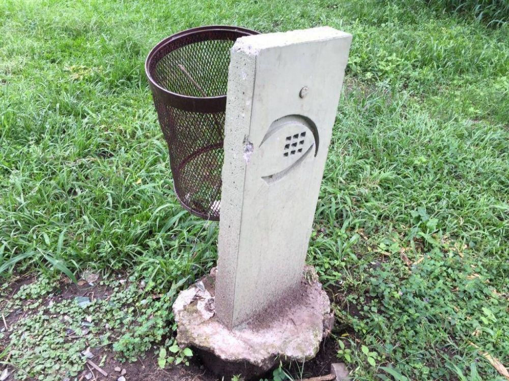 �Plaza o selva?