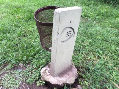 �Plaza o selva?