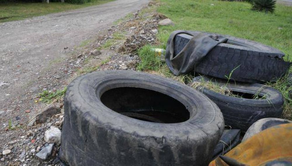 Presentaron plan contra el dengue y el chikungu�a
