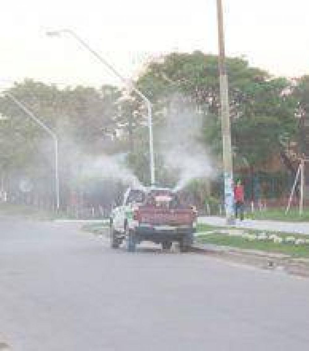 Dengue: Se debe evitar que los mosquitos se reproduzcan luego de las lluvias