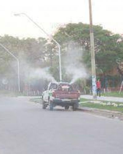 Dengue: Se debe evitar que los mosquitos se reproduzcan luego de las lluvias