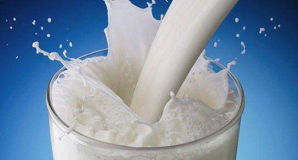 En enero habr una baja en el precio de la leche pagado al tambero