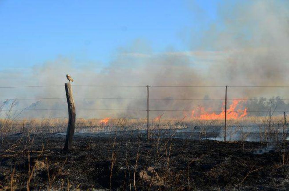 Incendio cerca del Santa Mar�a de La Pampa