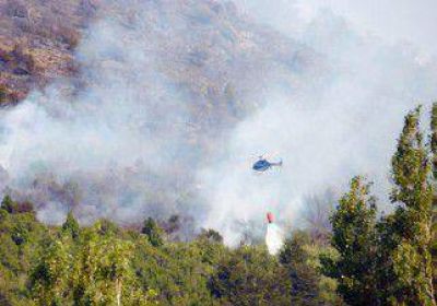 El fuego arras� con bosques nativos en Huechulafquen 