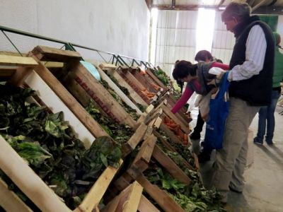 Jueves y viernes abre sus puertas el Mercado Comunitario Municipal