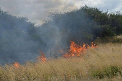 Otro incendio en la reserva Los Caldenes