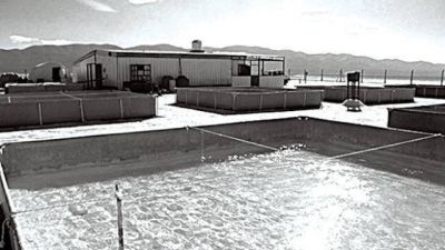 Aumentaron el canon del uso de agua p�blica para industrias