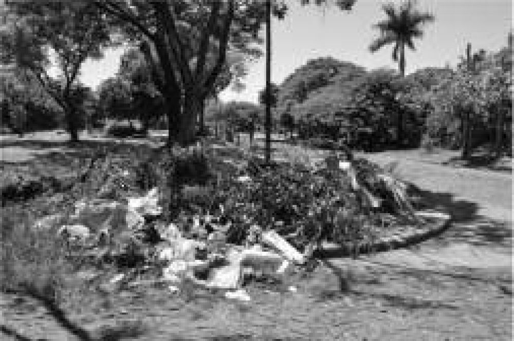 Falta de recolecci�n afea la plaza del barrio Radio Parque