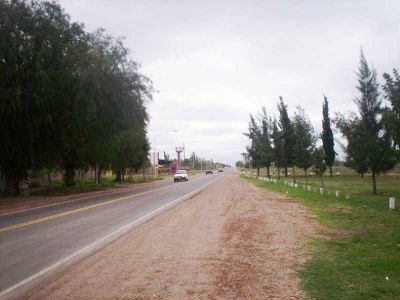 Muri� un joven tras ser atropellado y abandonado en la ruta