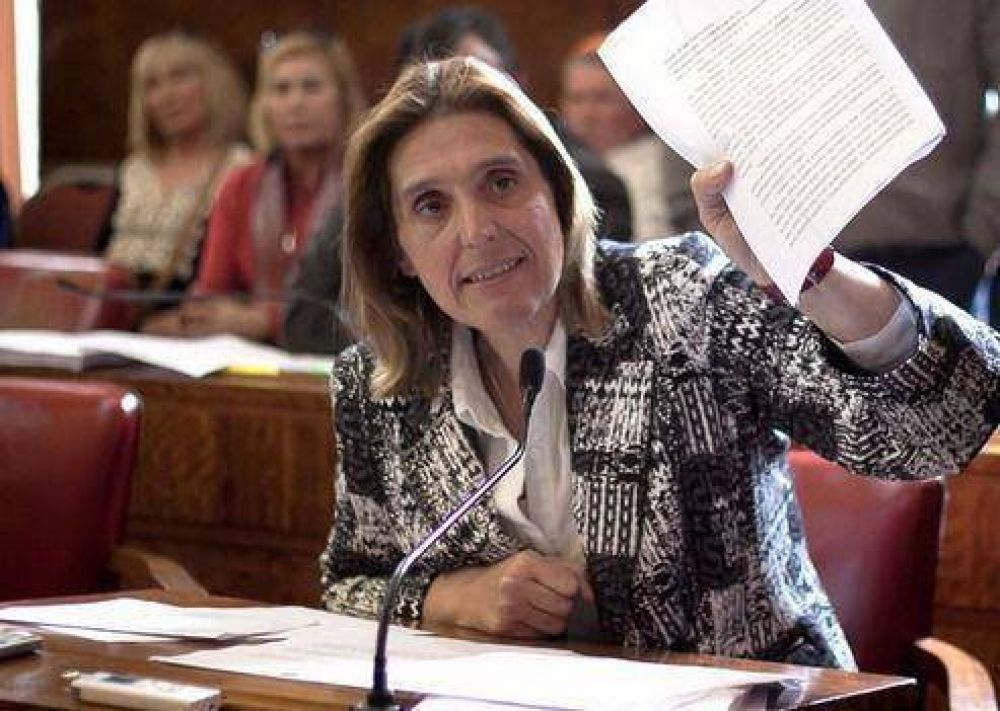 Vilma Baragiola solicita mayores controles a las empresas de transporte transporte