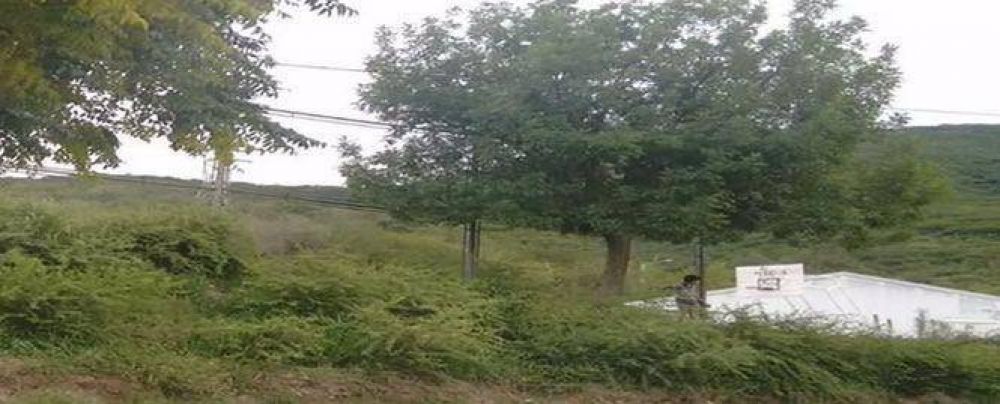 Temor en Mirador del San Bernardo por la falta de desmalezado