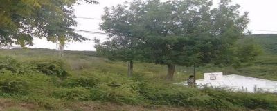Temor en Mirador del San Bernardo por la falta de desmalezado