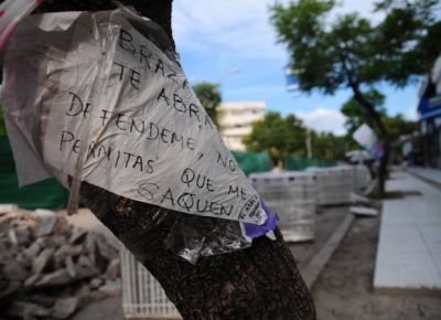 Juntaron m�s de 2.500 firmas para frenar la tala de �rboles