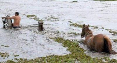 Colombi golpea puertas de la Naci�n por la emergencia