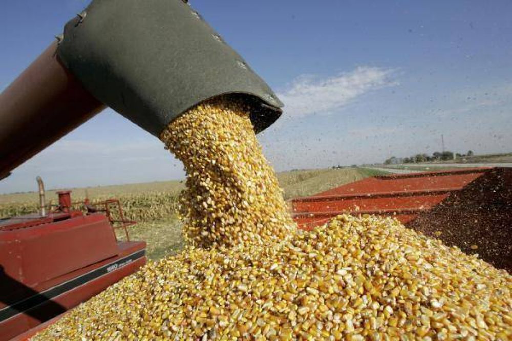 Cayeron 23% las exportaciones pampeanas
