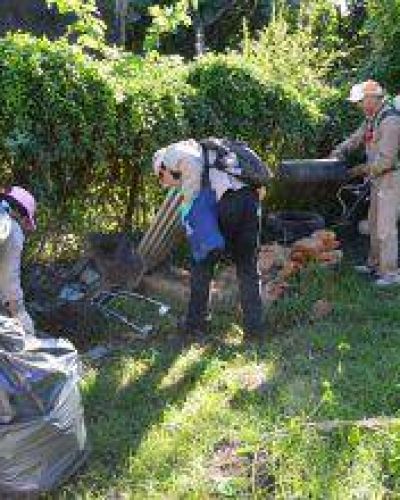 Dengue: las brigadas sanitarias trabajaran por la ma�ana en el barrio Mariano Moreno